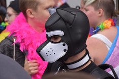 48231187901_c8c43f1c17_c.jpg